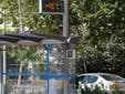 Ola de calor en España, en directo hoy: última hora de incidencias por altas temperaturas