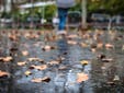 La AEMET, obligada a activar la alerta naranja por lluvias intensas en estas zonas